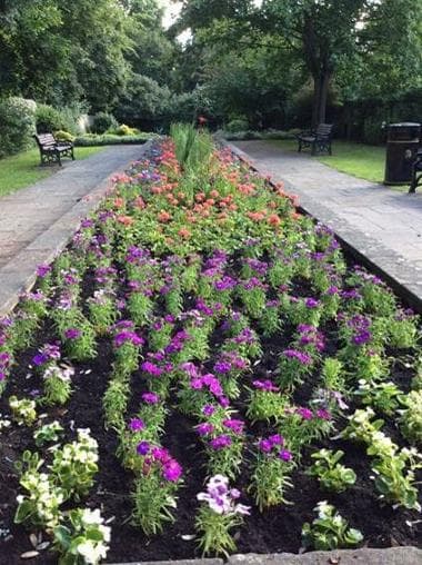 Love Blooms-Floral Designer, Gosport, Gosport