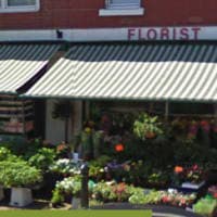 Roys Florist, Gosport, Gosport