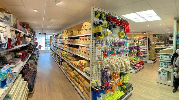 Pets Corner