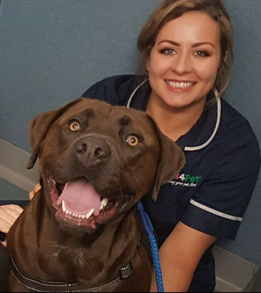 Vets4Pets - Gosport