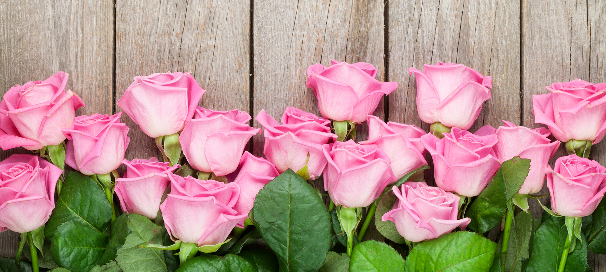 Zodiac Florists